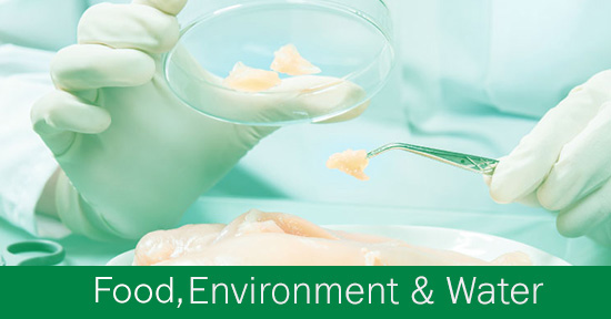 Food Environment & Water